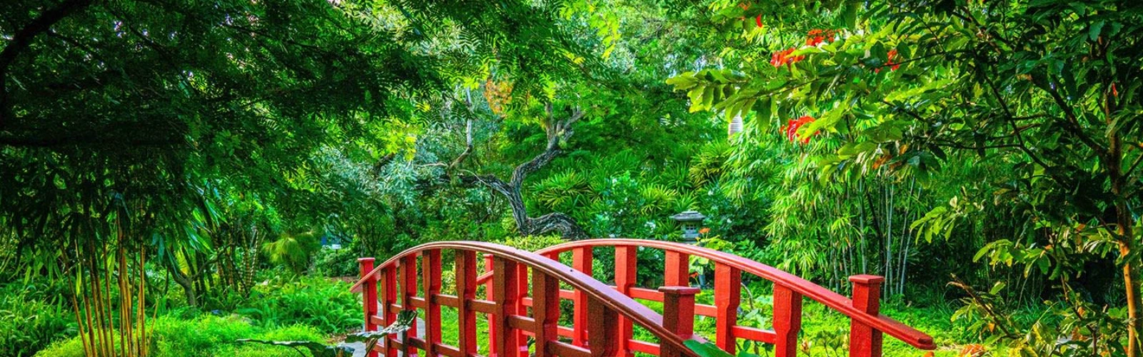 10 Best Things to Do in Miami Beach, Florida, USA