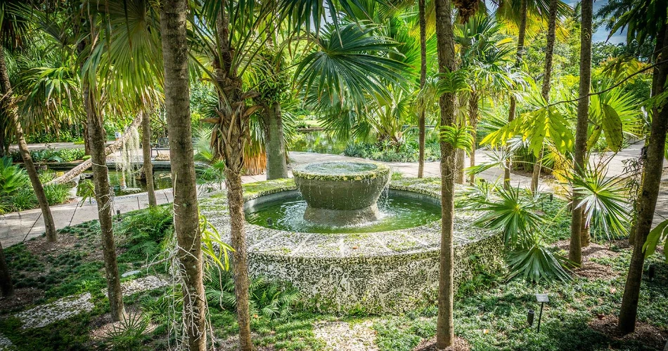 10 Best Things to Do in Miami Beach, Florida, USA